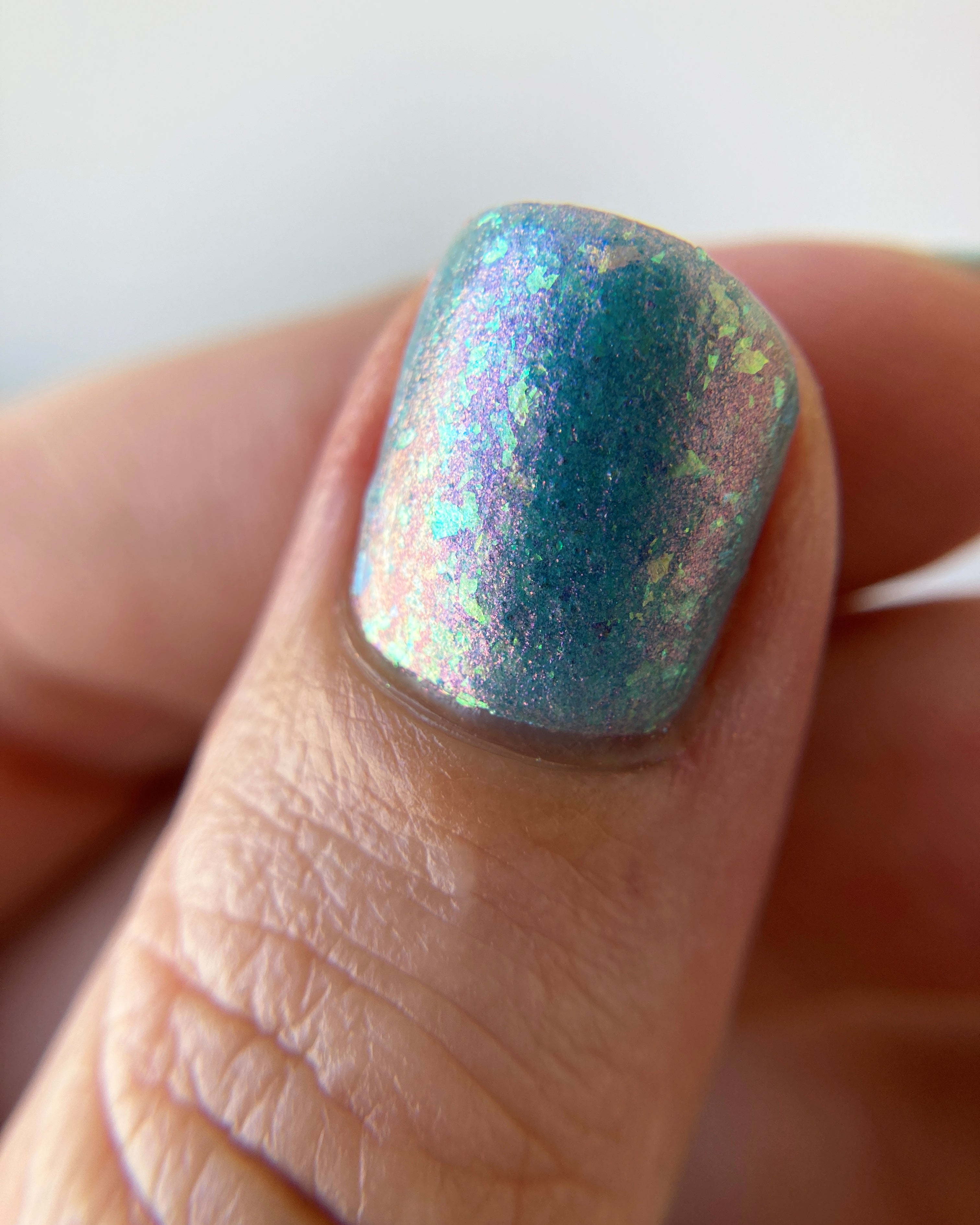 If Frogs Had Wings