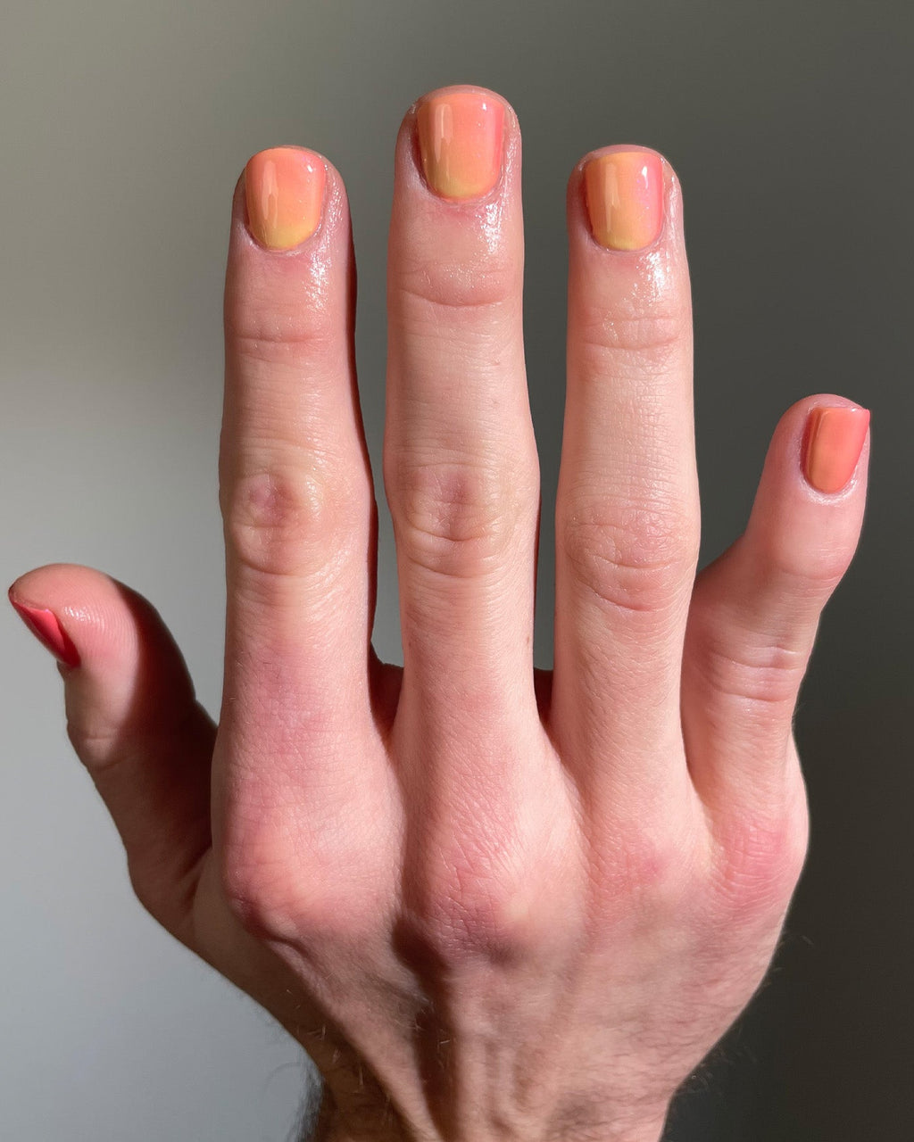 Koi Whiskers